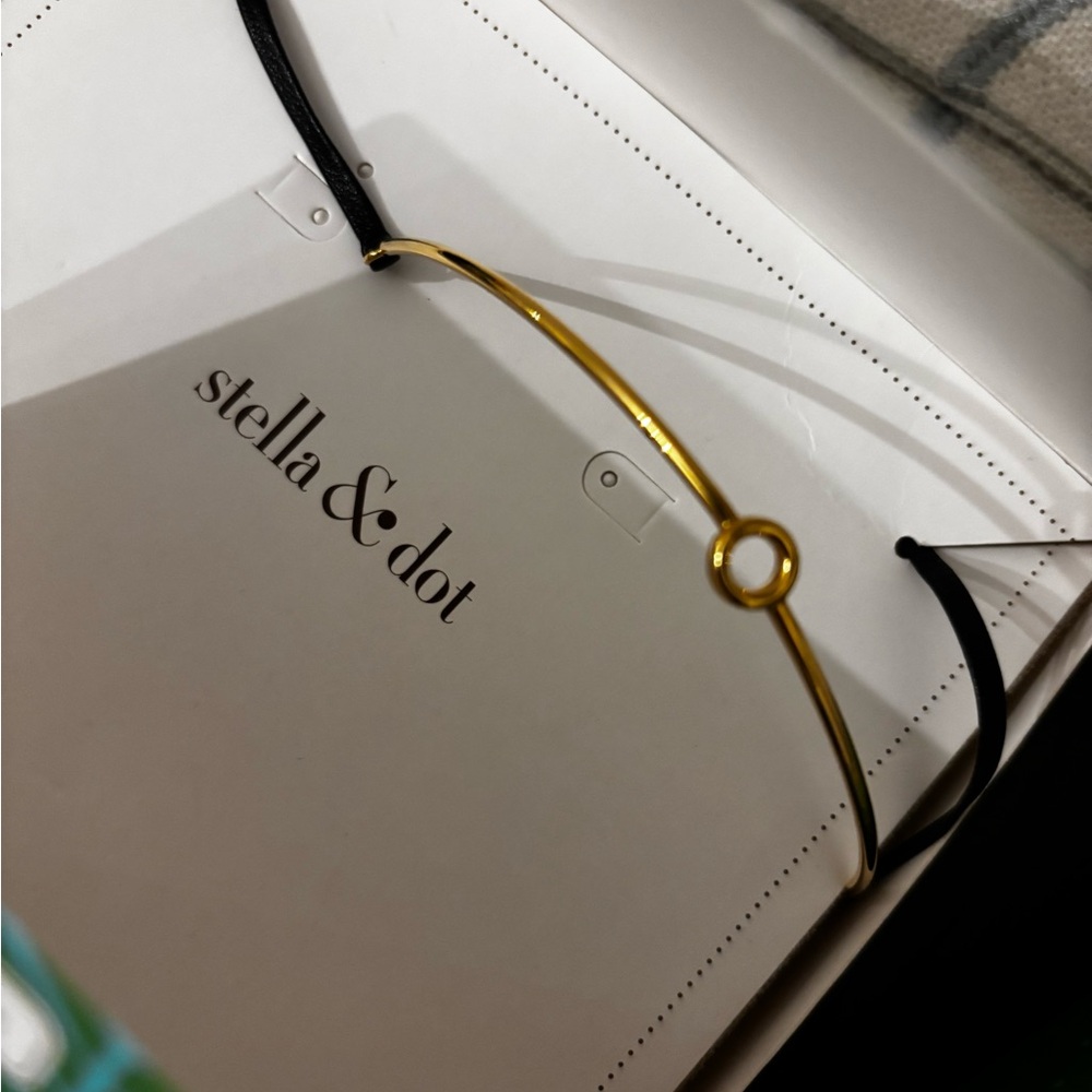 Stella and Dot Necklace